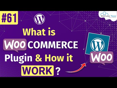 What is a CMS Content Management System Complete Overview WordPress Tutorials