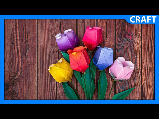 Judge.me YouTube video placeholder