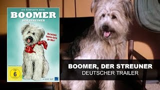 Boomer der Streuner (Deutscher Trailer) | KSM