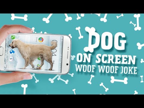 Dog on screen: Woof woof joke Video