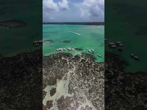 Emerald Waters & Coral Reefs of Maragogi | Alagoas, Brazil
