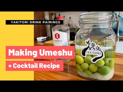 Yakitori Drink Pairings: Making Umeshu At Home PLUS Passionfruit Umeshu Cocktail