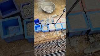 Download lagu ■Beton numune alımı #beton mp3