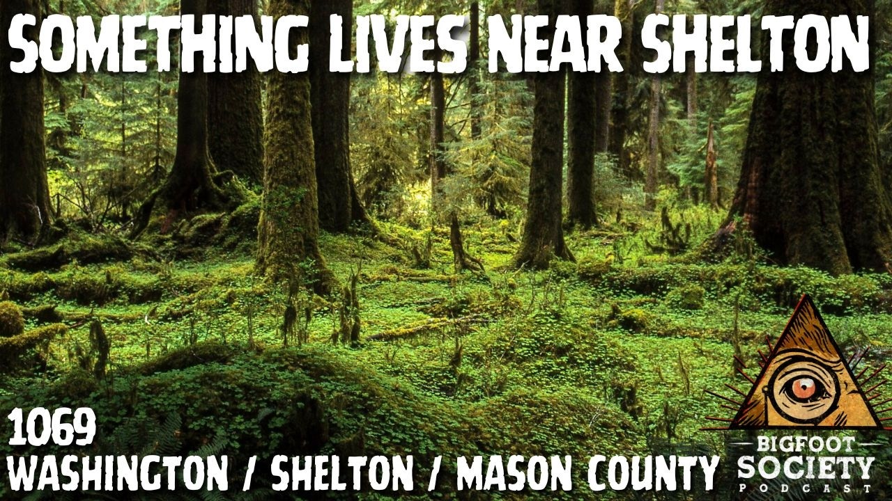 A Former Deputy Shares His Ongoing Encounters in Shelton, Washington With Sasquatch