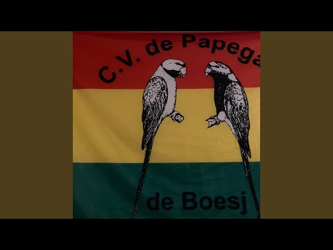 Het Pilske (feat. Boesjer Zooitje) (Leedjesmiddig 2026)