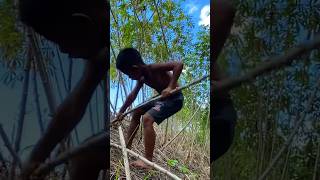 Download lagu There's a kite stuck in a tree. Let's go get it. mp3 Download lagu There's a kite stuck in a tree. Let's go get it. mp3