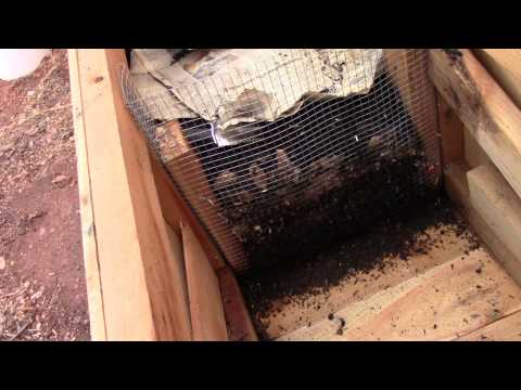 Horizontal Migration Worm Bin Update March 9, 2015