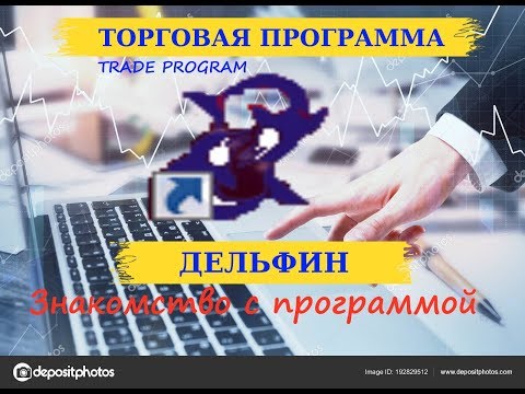 Торговая программа ДЕЛЬФИН (Бухгалтерия)