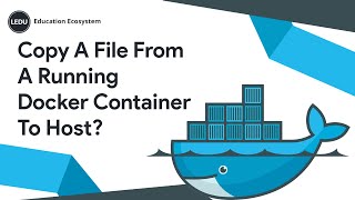 Docker Tutorial | How To Copy A File From A Running Docker Container To Host?