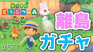 目のサイズが「ちゃお」。#57【あつまれどうぶつの森 女性実況】