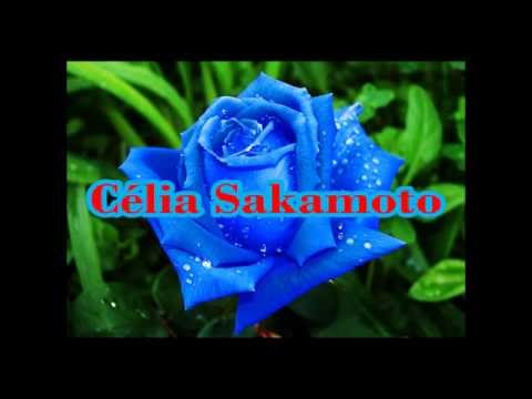 A Vitória É Certa - Célia Sakamoto
