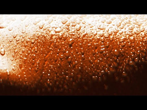 Catz ’n Dogz - Hot Mess