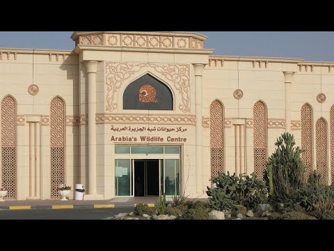 SHARJAH DESERT PARK TRIP