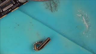 Revisit iPhone 5S that fell down the Toilet