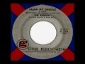The Regents - Laura My Darling