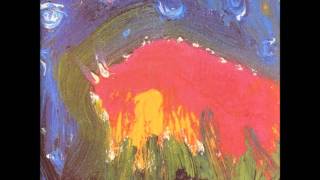 Meat Puppets- Teenager(S)
