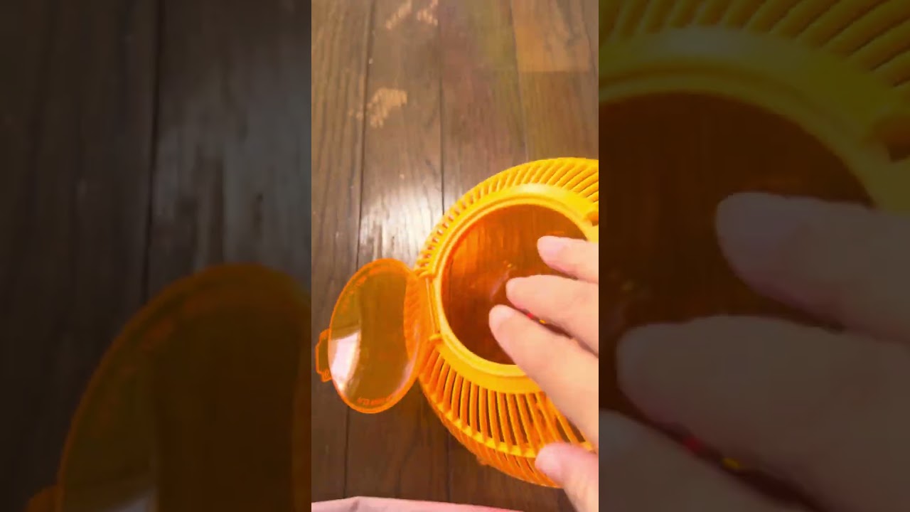 Marble Run ★ 5 Color Racing Day! Let's play Marble Run⑤