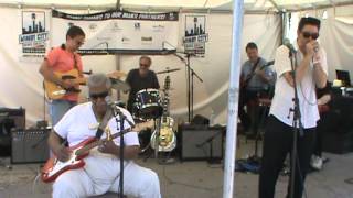 Worried Life Blues by The Sam Lay Blues Band