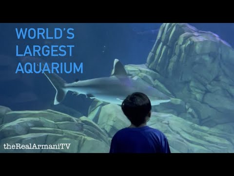 America’s Largest Aquarium | @theRealArmaniTV