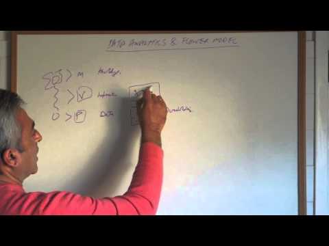 Data Analytics & The Flower Model