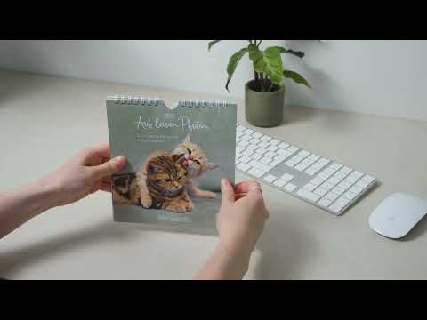 Postkartenkalender Auf leisen Pfoten 36863