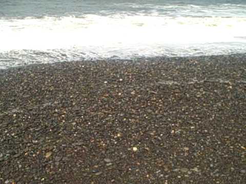 Sounds on Rialto Beach