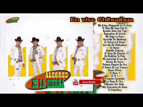 Alegres De La Sierra / En Vivo Chihuahua / Corridos y Rancheras