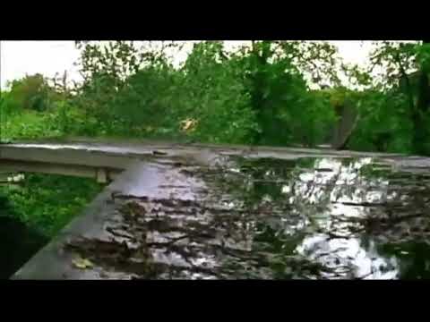 Mundo primitivo primeval  musica=i'm dangerous