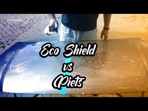Liquid Elements Eco Shield vs Glossgrade94 Piets // Coating Battle #2