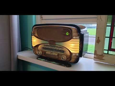 Rapsodies  owios  ( Oldebroek)