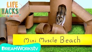 Hamster Jungle Gym + Other Small Pet Hacks | LIFE HACKS FOR KIDS