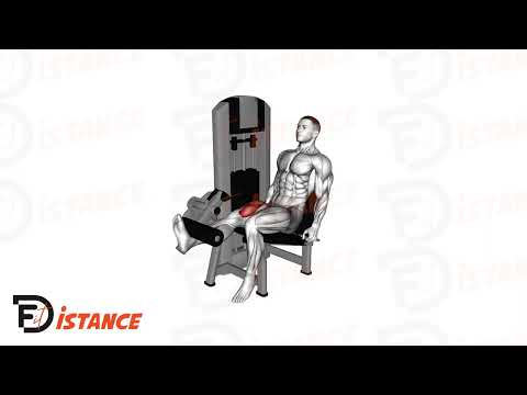 Exercice Leg extension unilatéral