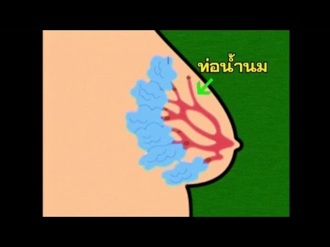 ชอบไม่ว่าจะเป็นผู้หญิงที่มีหน้าอกเล็ก เป็นผู้หญิงที่เป็นผู้ใหญ่ที่มีขนาดใหญ่และตูดหน้าอกเล็ก