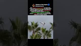 The F-22 Can Point Its Nose Anywhere While Flying in a Different Direction