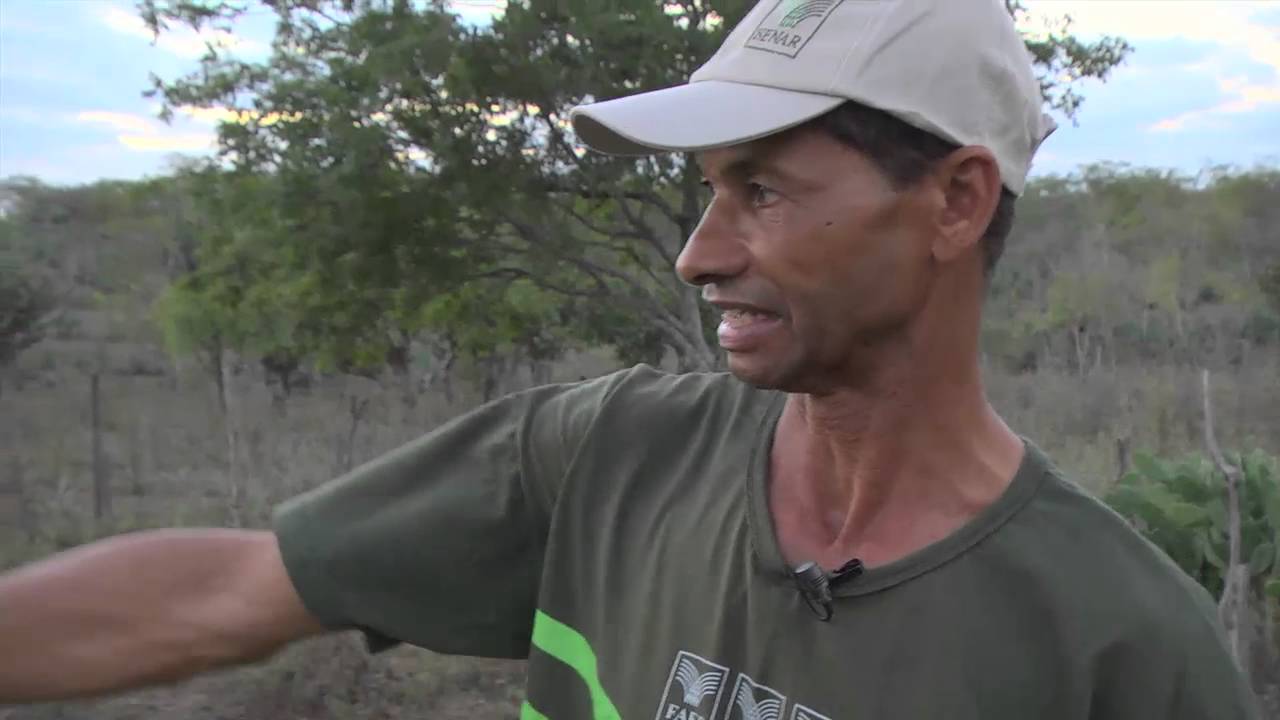 Veja como 3 produtores transformaram suas vidas com ajuda da Assistência Técnica e Gerencial - Bahia