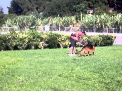 yango dell'alto ofanto