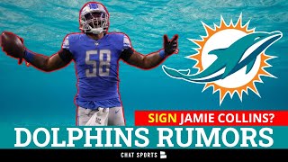 LATEST Dolphins Rumors: Sign Jamie Collins In NFL Free Agency? + Tyreek Hill Hypes Up Tua Tagovailoa