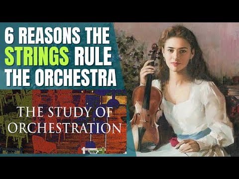 What You Need to Know About the Strings