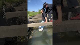 How Two Men Solve a Problem