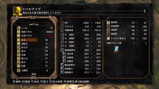 身内向け　ダクソ　九回目