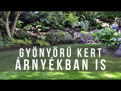 Gyönyörű kert árnyékban / Rossz gyep helyett virágágyás a kert sötét területein is.