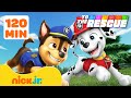 Paw Patrol PAW Patrol Padres Al Rescate Aprende Más Sobre Amistad 2 HORAS Nick Jr En Español
