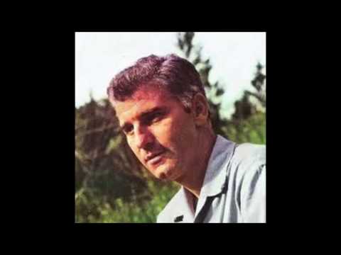 Rade Mladenović - Osma rana