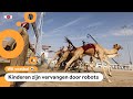Kamelenraces zijn populaire traditie in Qatar