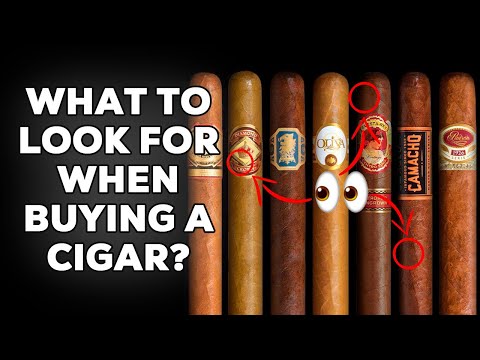 Everything You Need to Know About Picking the Perfect Cigar