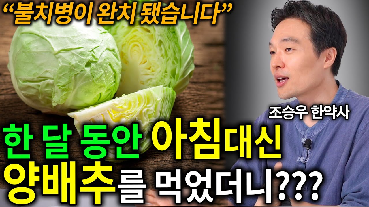 "드셔보시면 답이 나옵니다"  당신이 양배추를 먹어야 하는 이유
