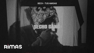 TUS AMIGAS Lyrics English Translation