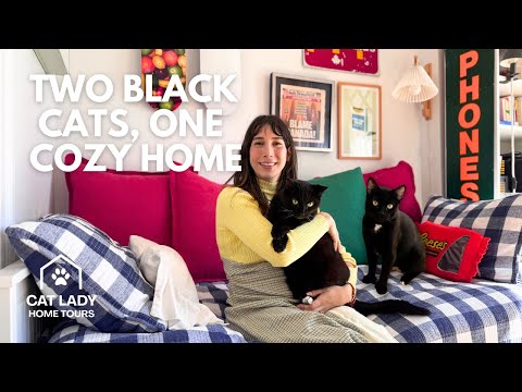 2 Black Cats in a Stylish Crown Heights Apartment | Cat Lady Home Tour