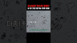 한의사가 말하는 내 장 건강 챙기는 진짜 방법