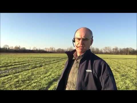 Aktuell im Ackerbau I. - Gezielte Düngung bringt Erfolg